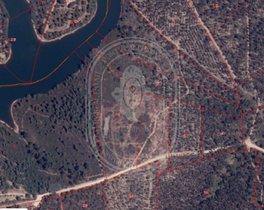 Terreno Agricola ou Rústico para Venda em Serra e Junceira Foto 29