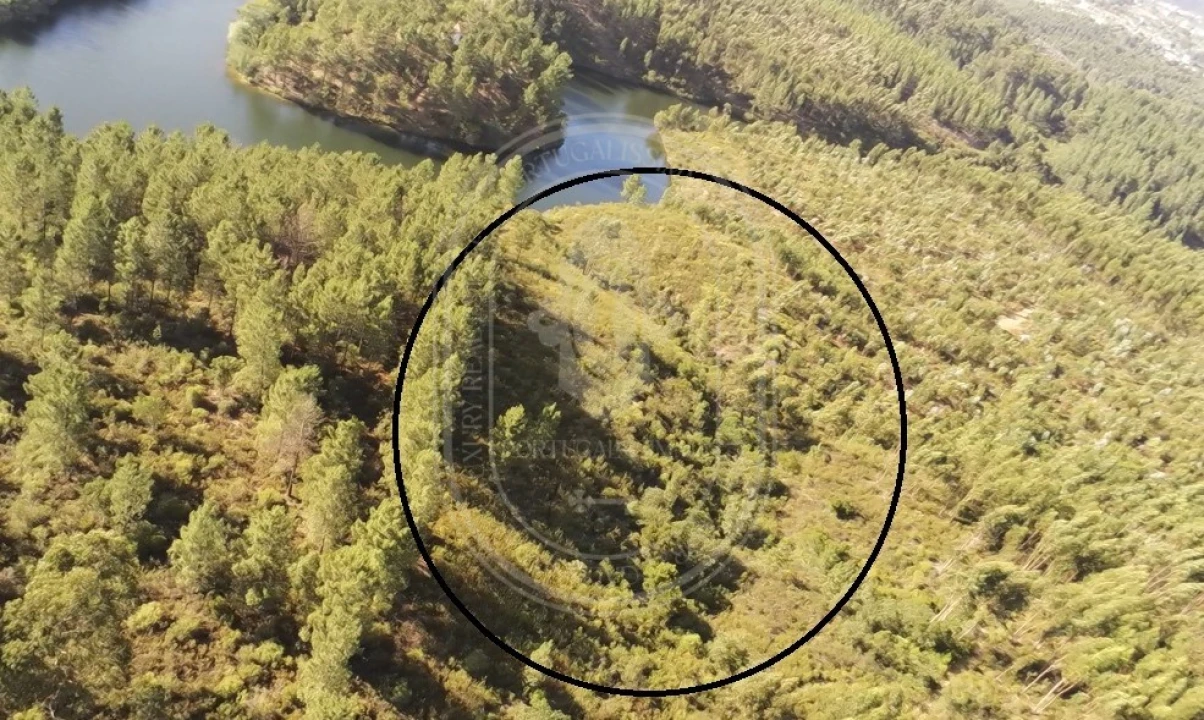 Terreno Agricola ou Rústico para Venda em Serra e Junceira Foto 31