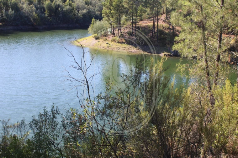 Terreno Agricola ou Rústico para Venda em Serra e Junceira Foto 6