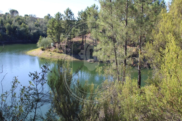 Terreno Agricola ou Rústico para Venda em Serra e Junceira Foto 9