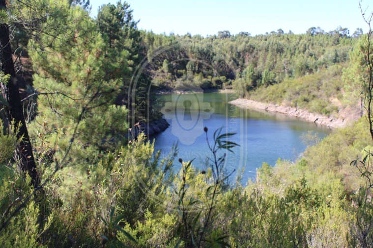 Terreno Agricola ou Rústico para Venda em Serra e Junceira Foto 12