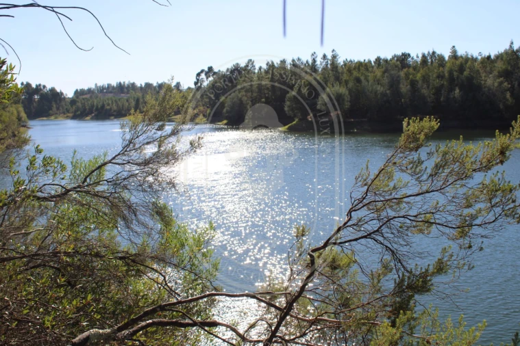 Terreno Agricola ou Rústico para Venda em Serra e Junceira Foto 5