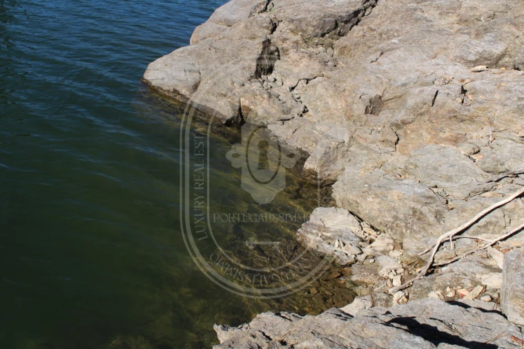 Terreno Agricola ou Rústico para Venda em Serra e Junceira Foto 14