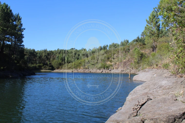 Terreno Agricola ou Rústico para Venda em Serra e Junceira Foto 1