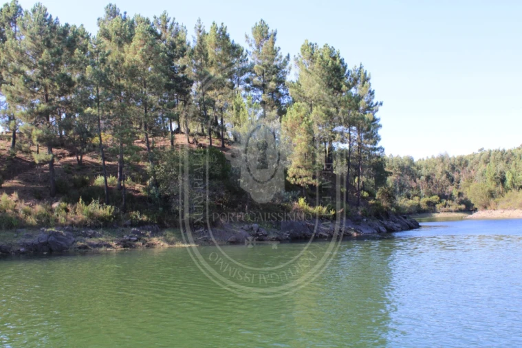Terreno Agricola ou Rústico para Venda em Serra e Junceira Foto 16