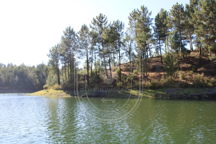 Terreno Agricola ou Rústico para Venda em Serra e Junceira Foto 17