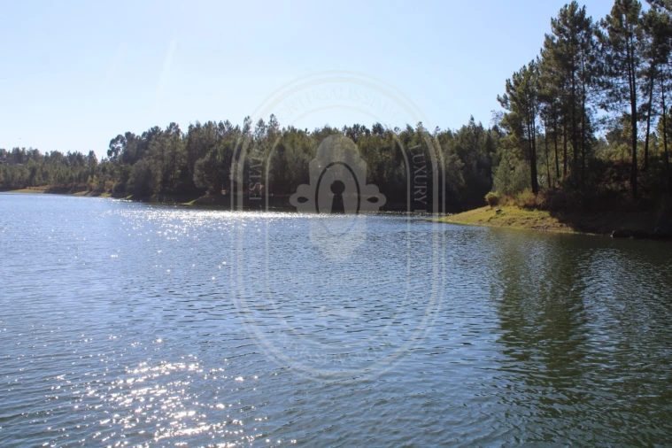 Terreno Agricola ou Rústico para Venda em Serra e Junceira Foto 8