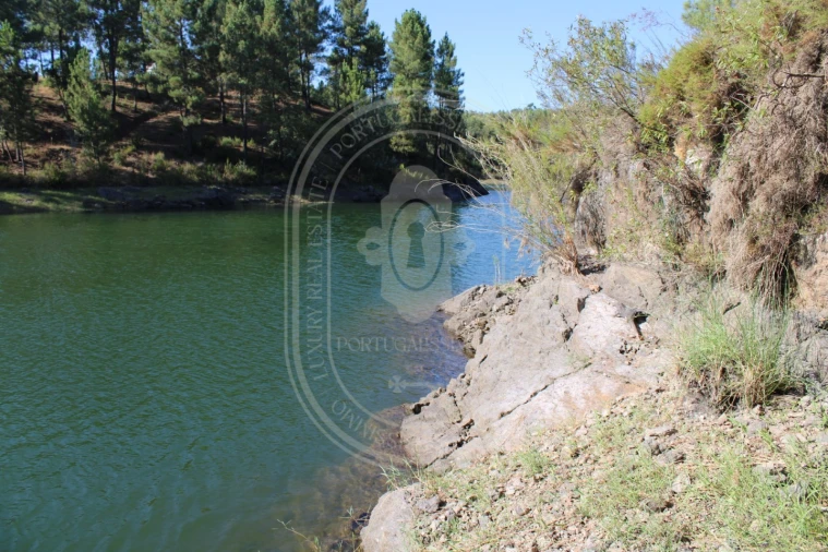 Terreno Agricola ou Rústico para Venda em Serra e Junceira Foto 22