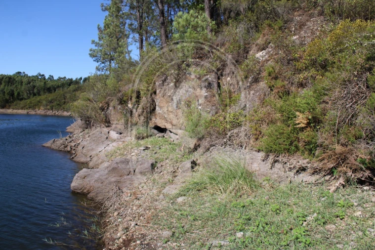 Terreno Agricola ou Rústico para Venda em Serra e Junceira Foto 24