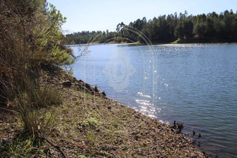 Terreno Agricola ou Rústico para Venda em Serra e Junceira Foto 25