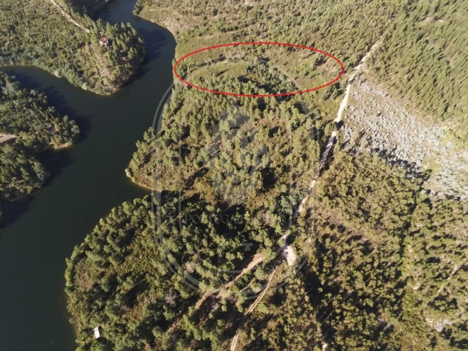 Terreno Agricola ou Rústico para Venda em Serra e Junceira Foto 30