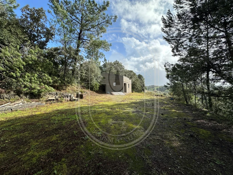 Terreno para Venda em Brogueira, Parceiros de Igreja e Alcorochel Foto 7