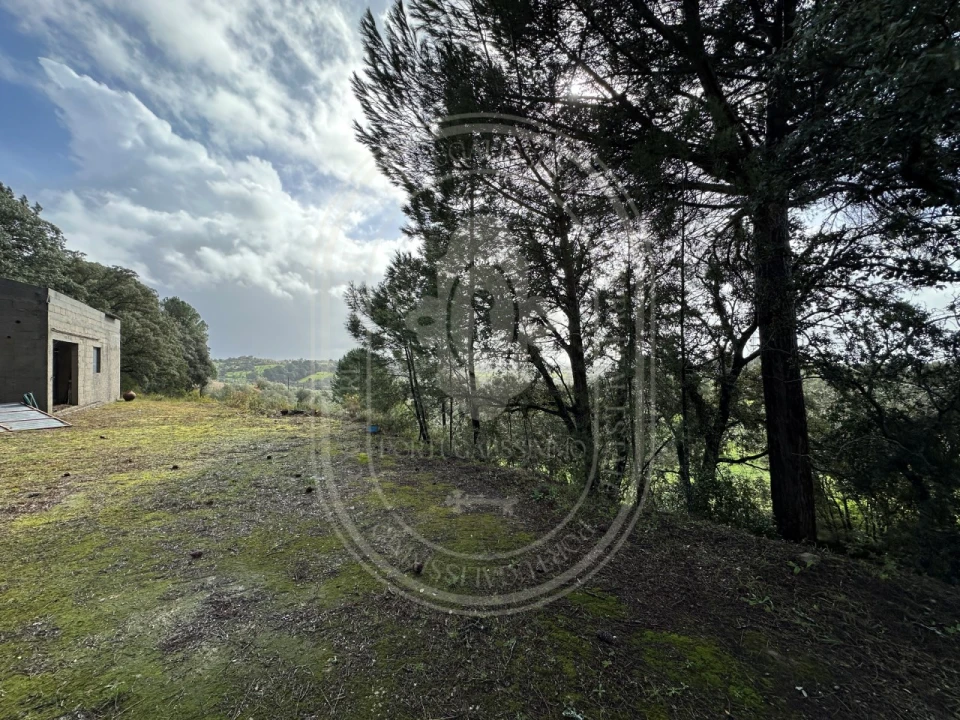 Terreno para Venda em Brogueira, Parceiros de Igreja e Alcorochel Foto 8