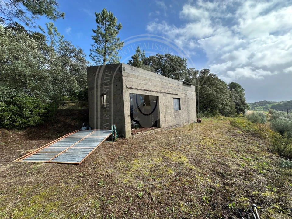 Terreno para Venda em Brogueira, Parceiros de Igreja e Alcorochel Foto 11