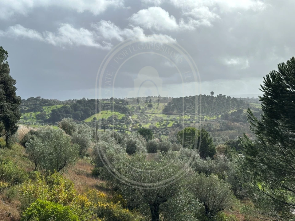 Terreno para Venda em Brogueira, Parceiros de Igreja e Alcorochel Foto 14