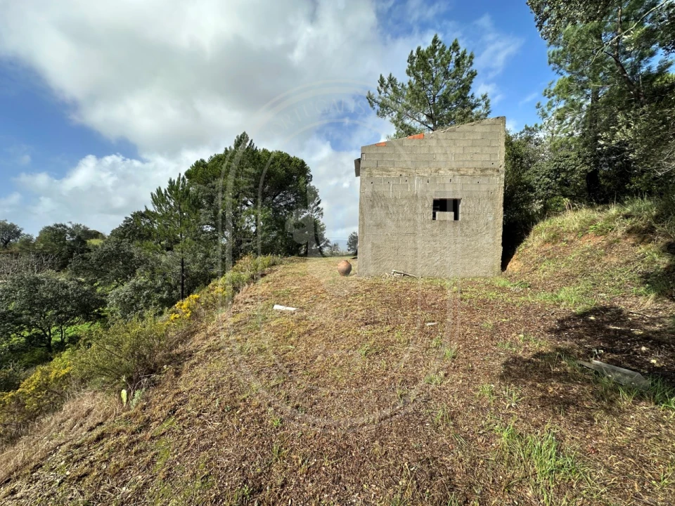 Terreno para Venda em Brogueira, Parceiros de Igreja e Alcorochel Foto 20