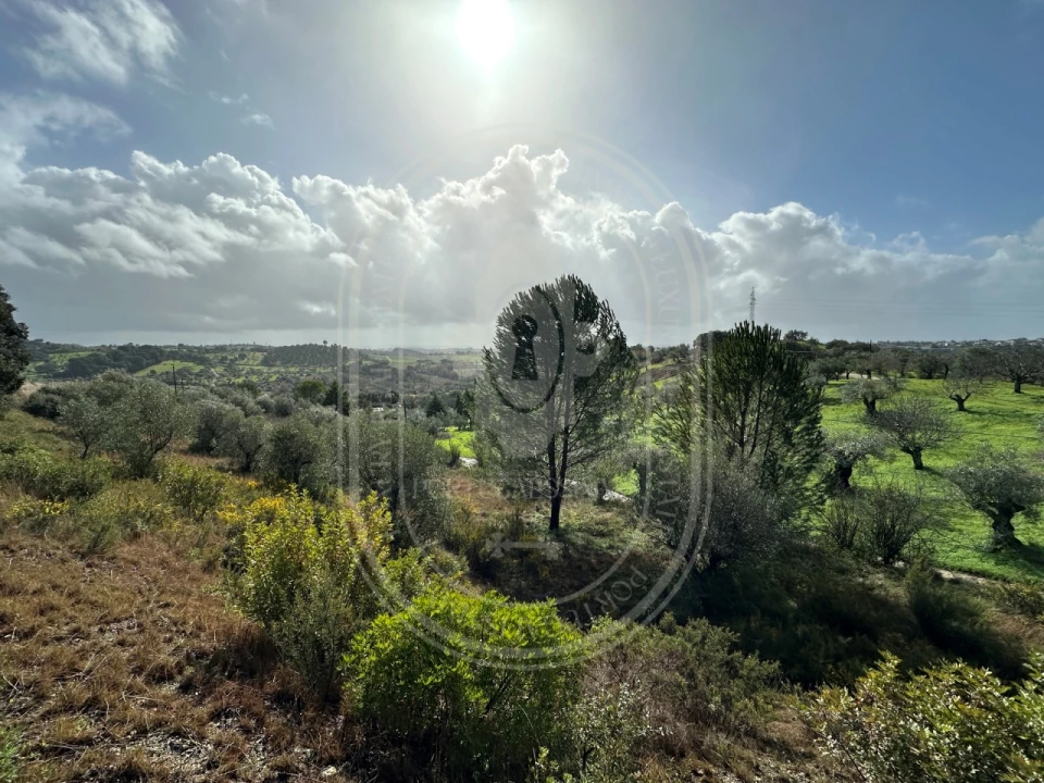 Terreno para Venda em Brogueira, Parceiros de Igreja e Alcorochel Foto 21