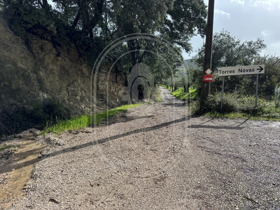 Terreno para Venda em Brogueira, Parceiros de Igreja e Alcorochel Foto 23