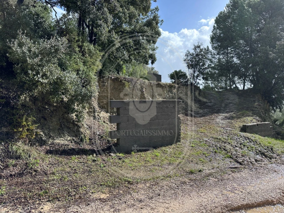 Terreno para Venda em Brogueira, Parceiros de Igreja e Alcorochel Foto 26