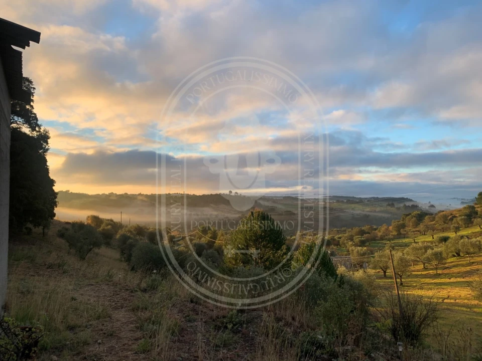 Terreno para Venda em Brogueira, Parceiros de Igreja e Alcorochel Foto 1