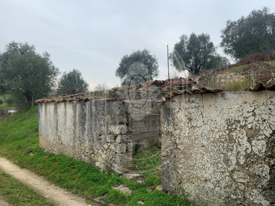 Terreno para Venda em Brogueira, Parceiros de Igreja e Alcorochel Foto 44