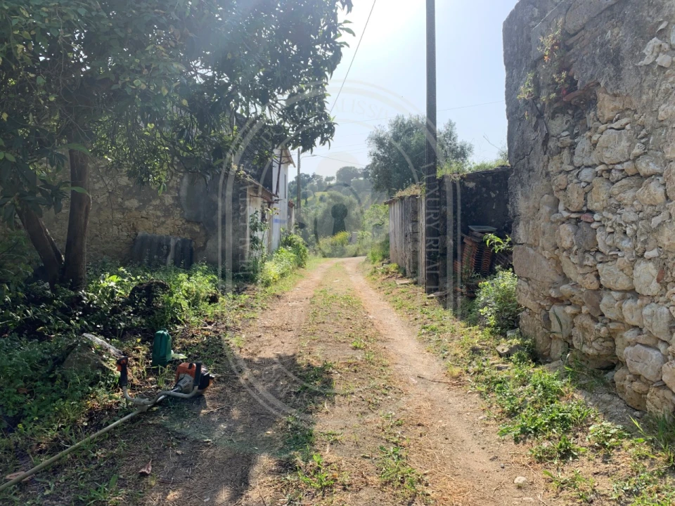 Terreno para Venda em Brogueira, Parceiros de Igreja e Alcorochel Foto 49
