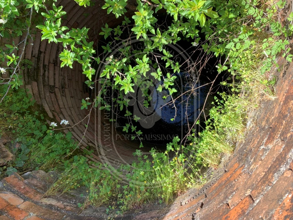 Terreno para Venda em Brogueira, Parceiros de Igreja e Alcorochel Foto 50