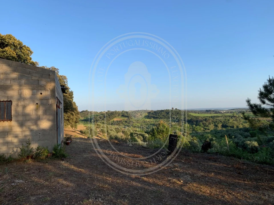 Terreno para Venda em Brogueira, Parceiros de Igreja e Alcorochel Foto 54
