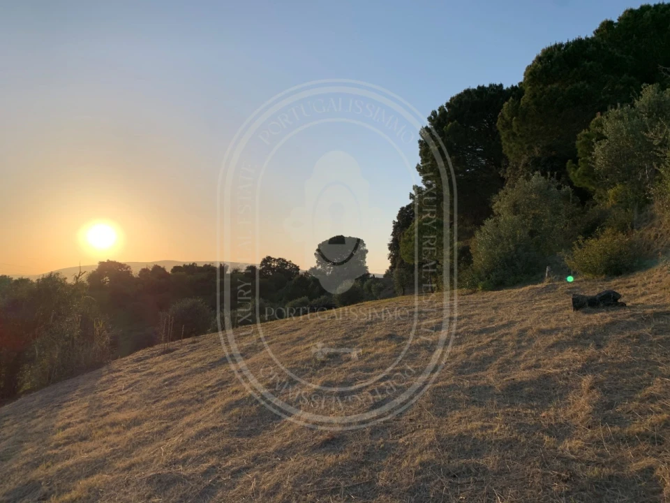 Terreno para Venda em Brogueira, Parceiros de Igreja e Alcorochel Foto 55