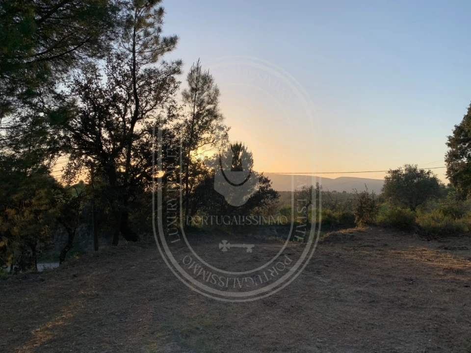 Terreno para Venda em Brogueira, Parceiros de Igreja e Alcorochel Foto 56
