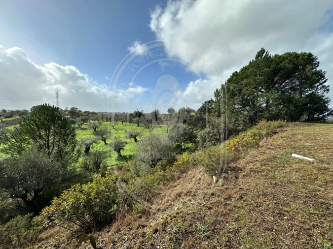 Terreno para Venda em Brogueira, Parceiros de Igreja e Alcorochel Foto 1