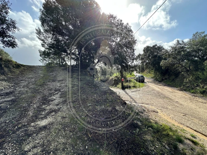 Terreno para Venda em Brogueira, Parceiros de Igreja e Alcorochel Foto 5