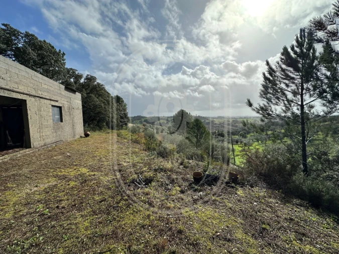 Terreno para Venda em Brogueira, Parceiros de Igreja e Alcorochel Foto 10