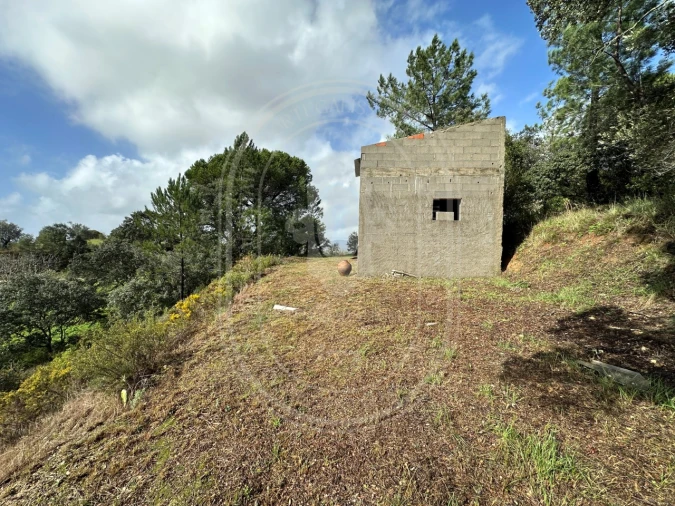 Terreno para Venda em Brogueira, Parceiros de Igreja e Alcorochel Foto 20