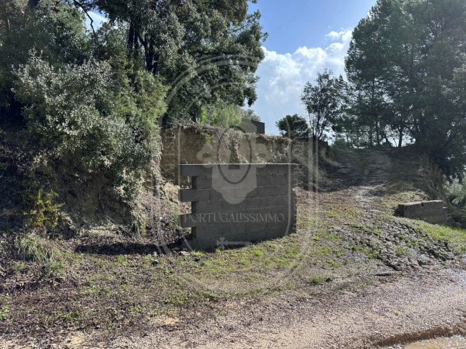 Terreno para Venda em Brogueira, Parceiros de Igreja e Alcorochel Foto 26