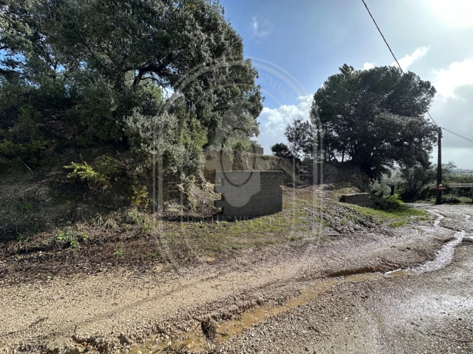 Terreno para Venda em Brogueira, Parceiros de Igreja e Alcorochel Foto 27