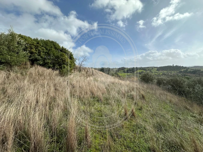 Terreno para Venda em Brogueira, Parceiros de Igreja e Alcorochel Foto 38