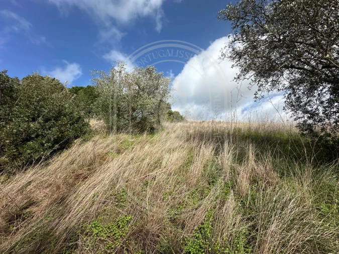 Terreno para Venda em Brogueira, Parceiros de Igreja e Alcorochel Foto 41