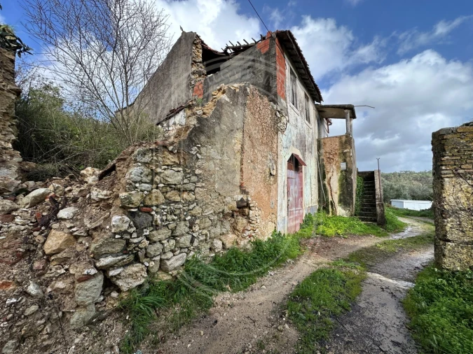 Terreno para Venda em Brogueira, Parceiros de Igreja e Alcorochel Foto 43
