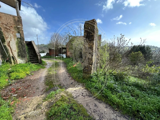 Terreno para Venda em Brogueira, Parceiros de Igreja e Alcorochel Foto 47
