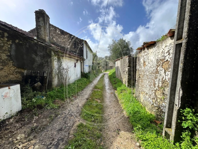 Terreno para Venda em Brogueira, Parceiros de Igreja e Alcorochel Foto 50