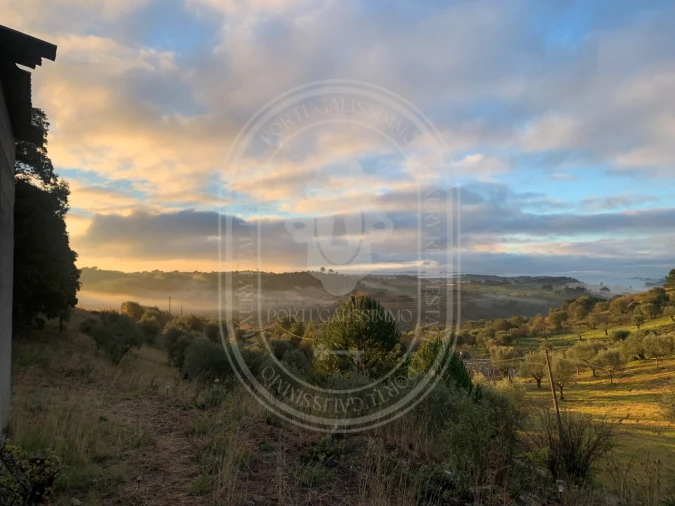 Terreno para Venda em Brogueira, Parceiros de Igreja e Alcorochel Foto 1