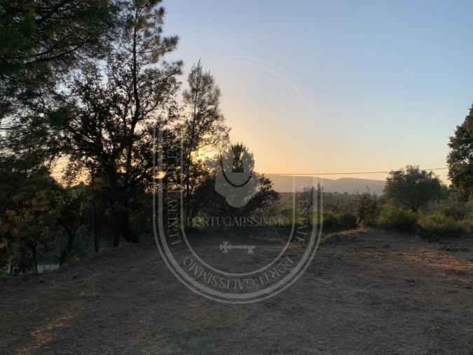 Terreno para Venda em Brogueira, Parceiros de Igreja e Alcorochel Foto 56