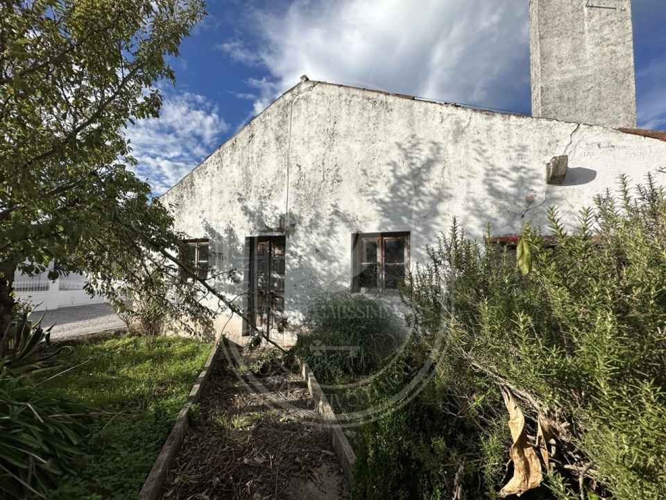 Moradia T3 para Venda em Areias e Pias Foto 39