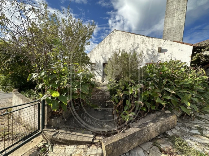 Moradia T3 para Venda em Areias e Pias Foto 37