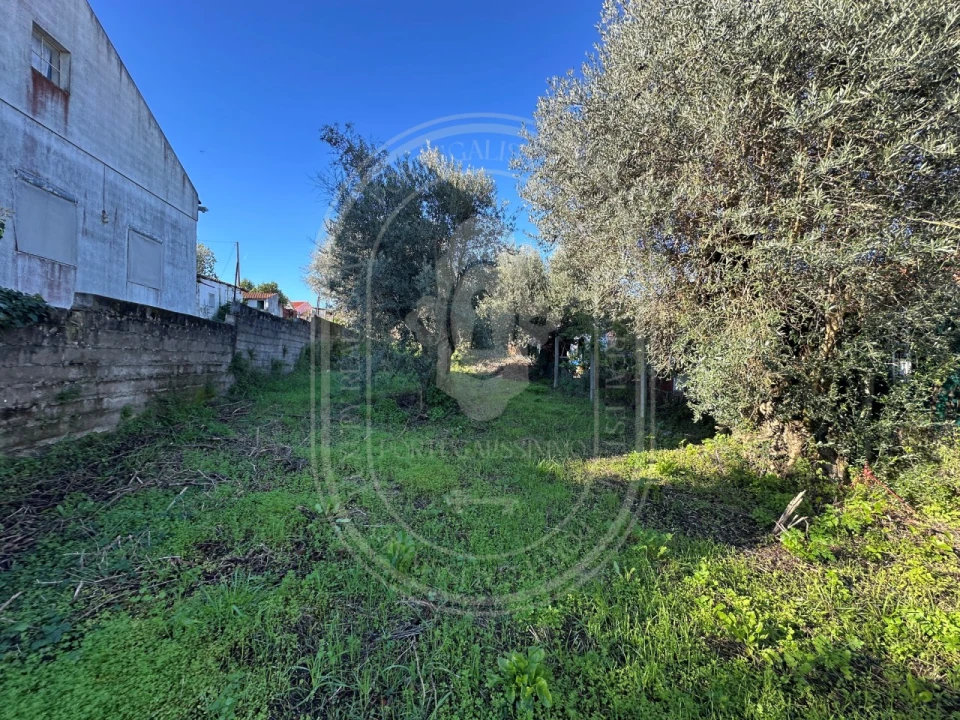 Moradia T4 para Venda em Olaia e Paço Foto 27