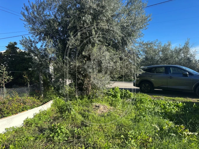 Moradia T4 para Venda em Olaia e Paço Foto 45