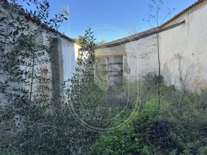 Moradia T4 para Venda em Olaia e Paço Foto 59