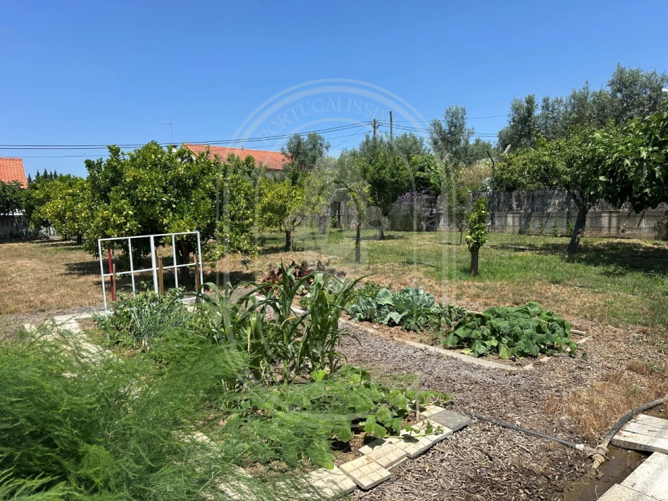 Moradia T3 para Venda em São Pedro de Tomar Foto 57