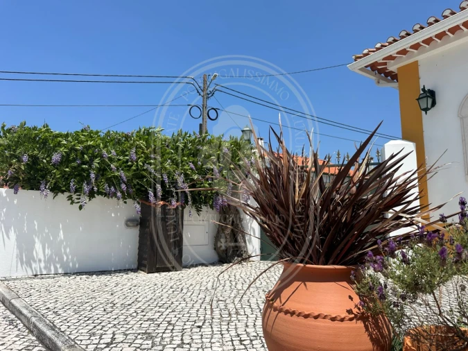 Moradia T3 para Venda em São Pedro de Tomar Foto 55